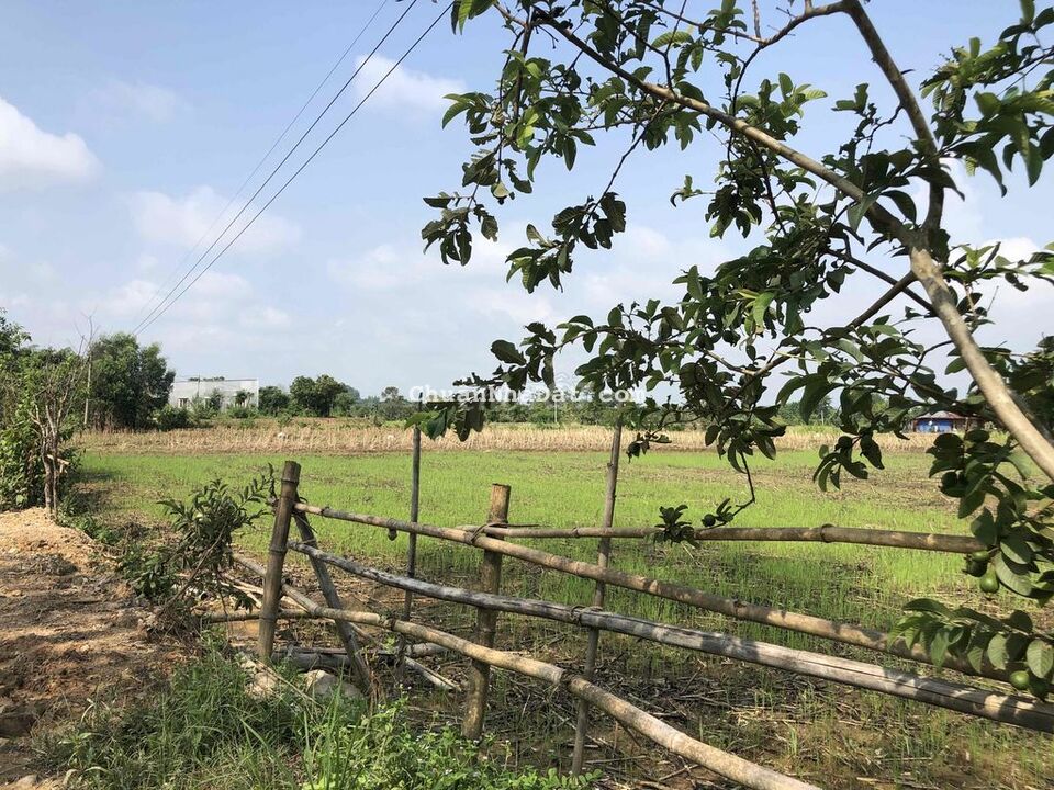 2.7 hecta đất CLN sẵn 300m thổ cư, ao cá 1700m2 chỉ 3 tỷ