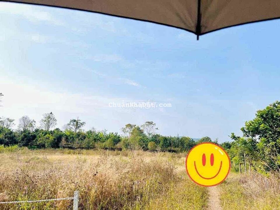 xả lỗ 300 triệu so với giá mua bán gấp 3.000m2 tại Tân Phú Đồng Nai