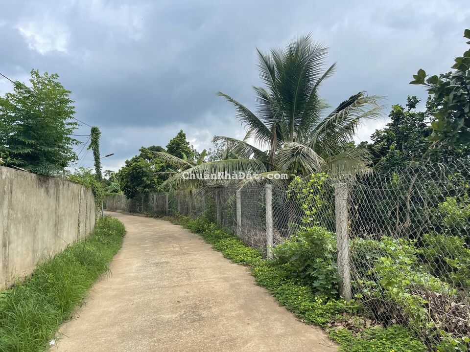 Đất 6259m2 ONT Trà Cổ - Tân Phú 700tr/ sào SHR