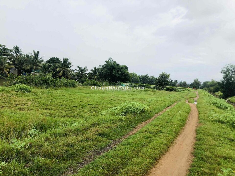 Đất 920m2 sổ hồng riêng có 53m mt đường ô tô Đất 920m2 sổ hồng riêng có 53m mt đường ô tô