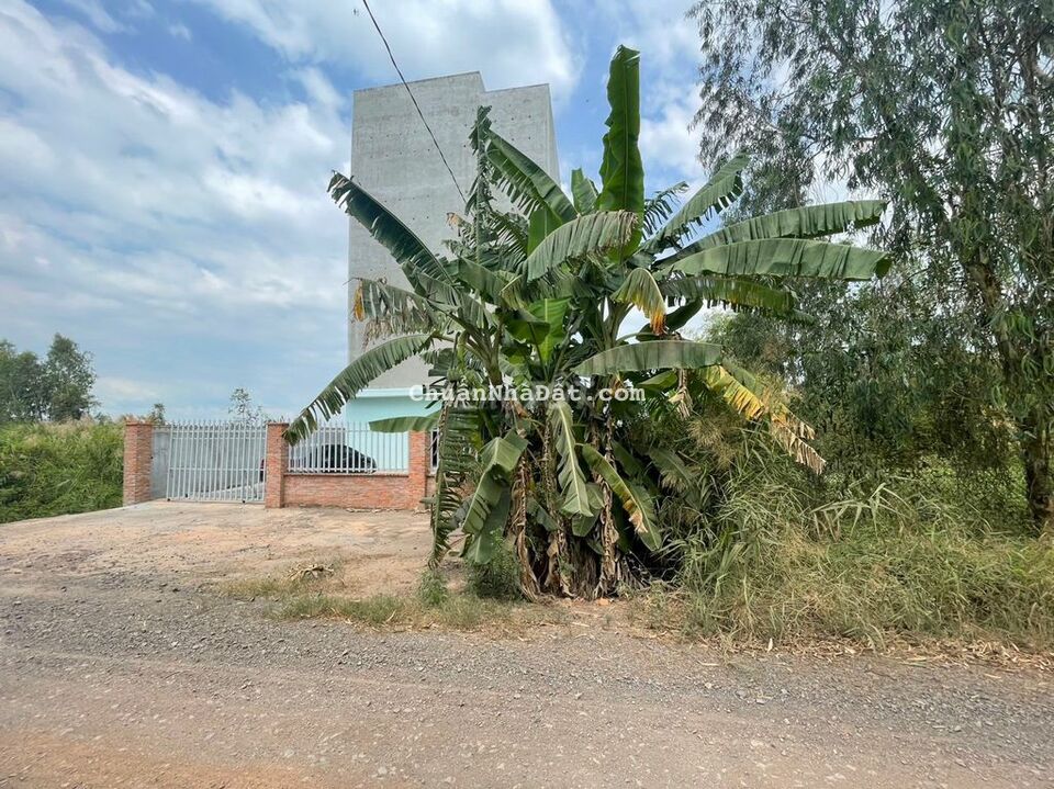 NGANG 10M DÀI 28M THỔ CƯ MẶT TIỀN ĐƯỜNG TỈNH 837B TÂN HƯNG GIÁ 450TR