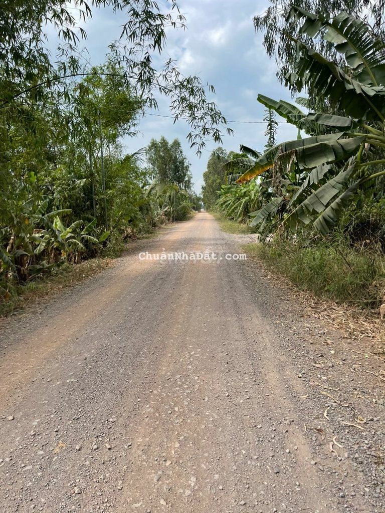 NGANG 10M DÀI 28M THỔ CƯ MẶT TIỀN ĐƯỜNG TỈNH 837B TÂN HƯNG GIÁ 450TR