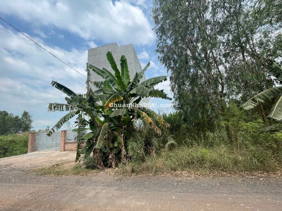 NGANG 10M DÀI 28M THỔ CƯ MẶT TIỀN ĐƯỜNG TỈNH 837B TÂN HƯNG GIÁ 450TR