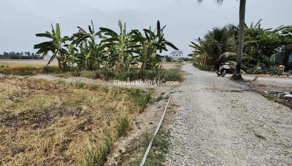 ĐẤT Full Thổ Cư, Đường Ô Tô, Bán Trả Nợ xin đừng trả giá nữa