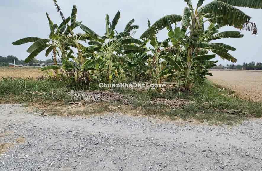 ĐẤT Full Thổ Cư, Đường Ô Tô, Bán Trả Nợ xin đừng trả giá nữa