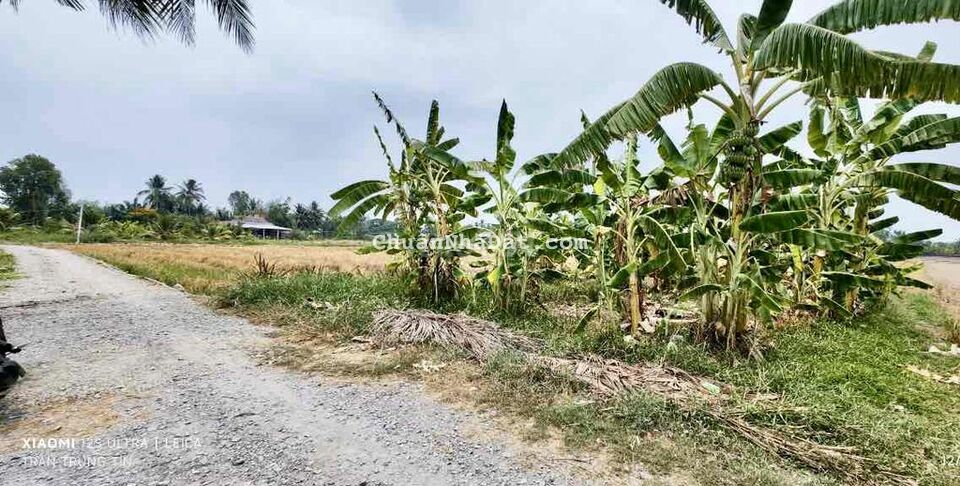 ĐẤT Full Thổ Cư, Đường Ô Tô, Bán Trả Nợ xin đừng trả giá nữa