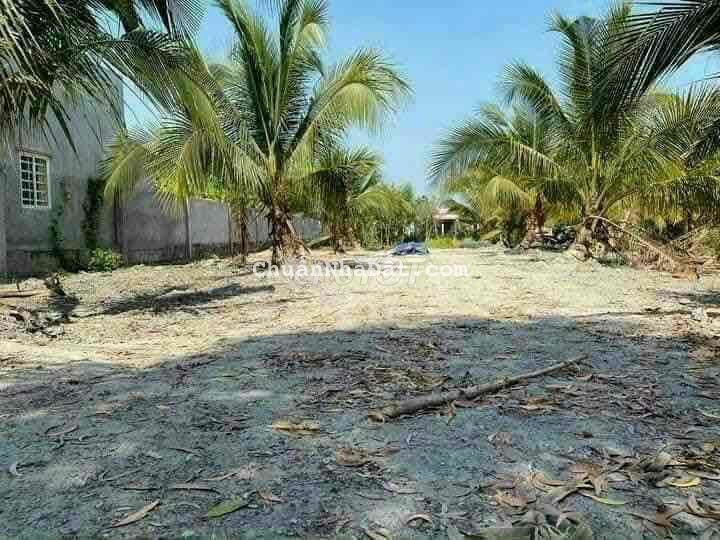 Mặt tiền bê tông 4m, ô tô chạy ầm ầm luôn cô bác