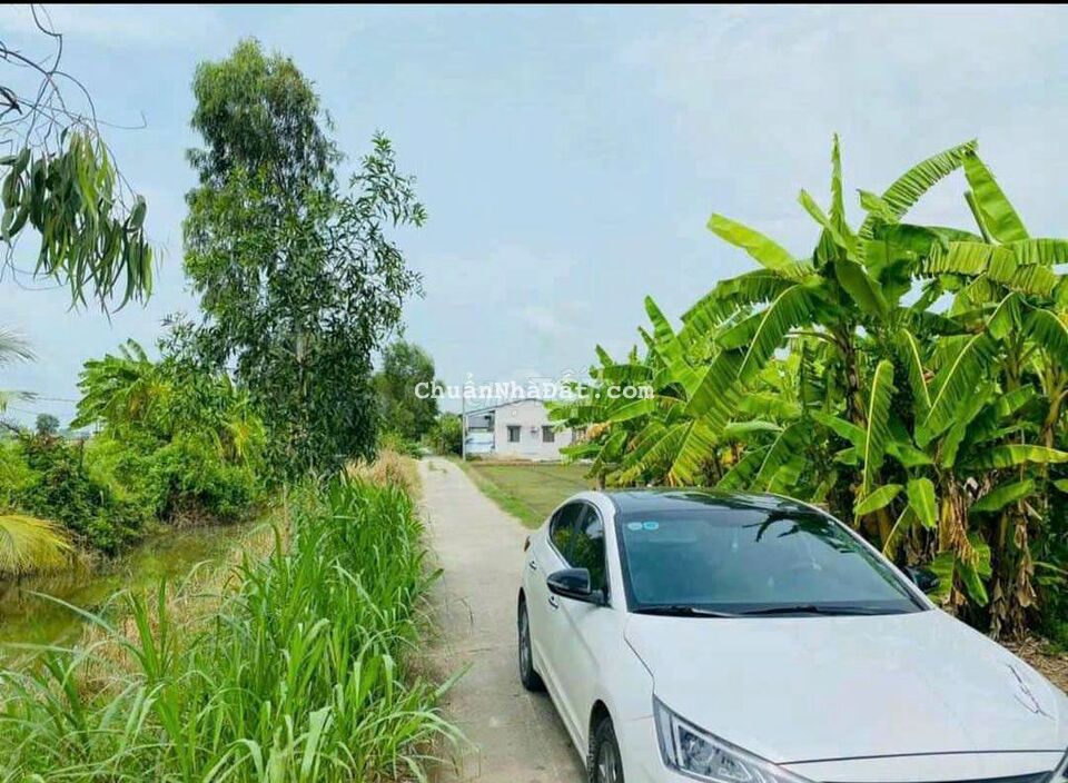 Đất thổ cư F0 - 5x26m giá 469tr ở Bình Tịnh - Tân Trụ Đất thổ cư F0 - 5x26m giá 469tr ở Bình Tịnh - Tân Trụ