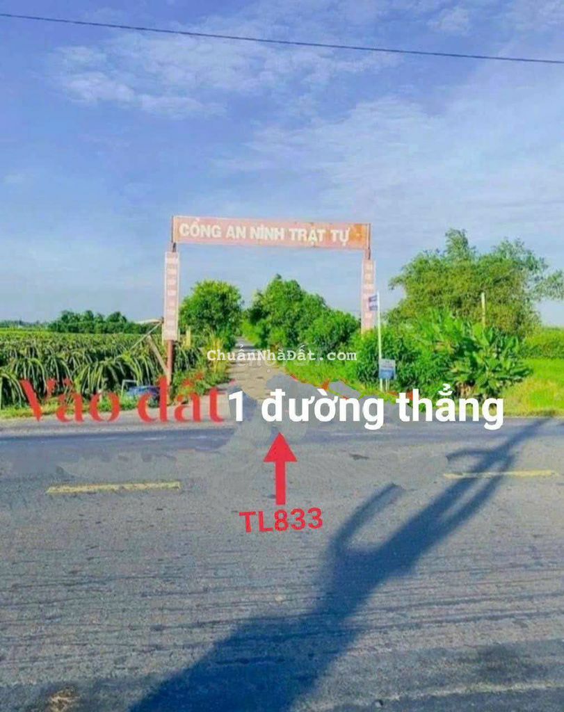 Đất thổ cư F0 - 5x26m giá 469tr ở Bình Tịnh - Tân Trụ Đất thổ cư F0 - 5x26m giá 469tr ở Bình Tịnh - Tân Trụ