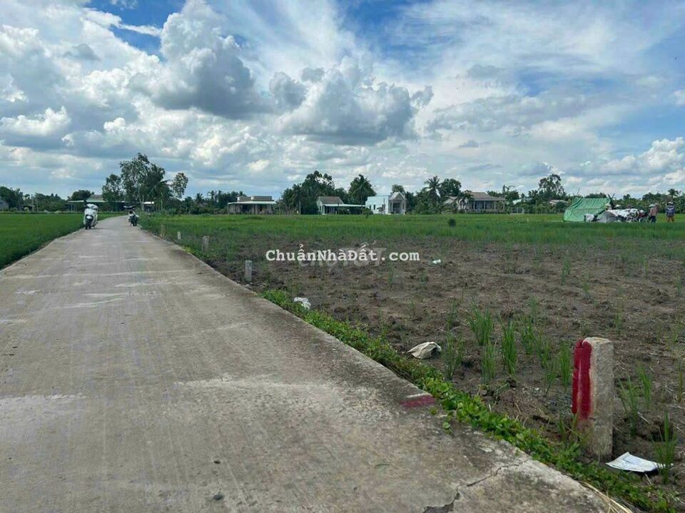 Đất thổ cư hàng đầu tư 5x31m giá 470tr ở Lạc Tấn - Tân Trụ Đất thổ cư hàng đầu tư 5x31m giá 470tr ở Lạc Tấn - Tân Trụ