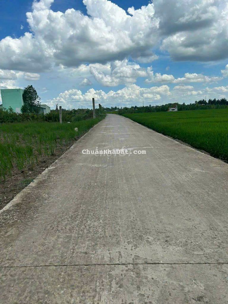 Đất thổ cư hàng đầu tư 5x31m giá 470tr ở Lạc Tấn - Tân Trụ Đất thổ cư hàng đầu tư 5x31m giá 470tr ở Lạc Tấn - Tân Trụ