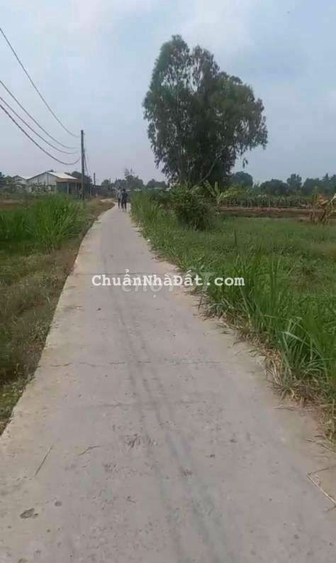 Ngợp quá, 178m2 thổ, đường 4m, chốt chỉ 410tr Ngợp quá, 178m2 thổ, đường 4m, chốt chỉ 410tr