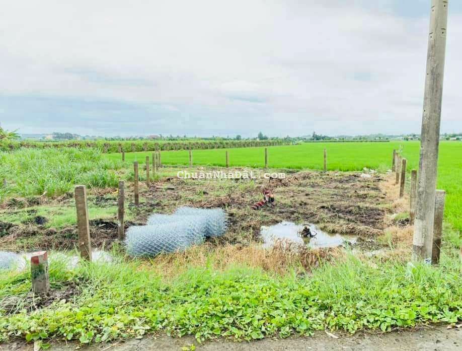 Ngợp quá, 178m2 thổ, đường 4m, chốt chỉ 410tr Ngợp quá, 178m2 thổ, đường 4m, chốt chỉ 410tr