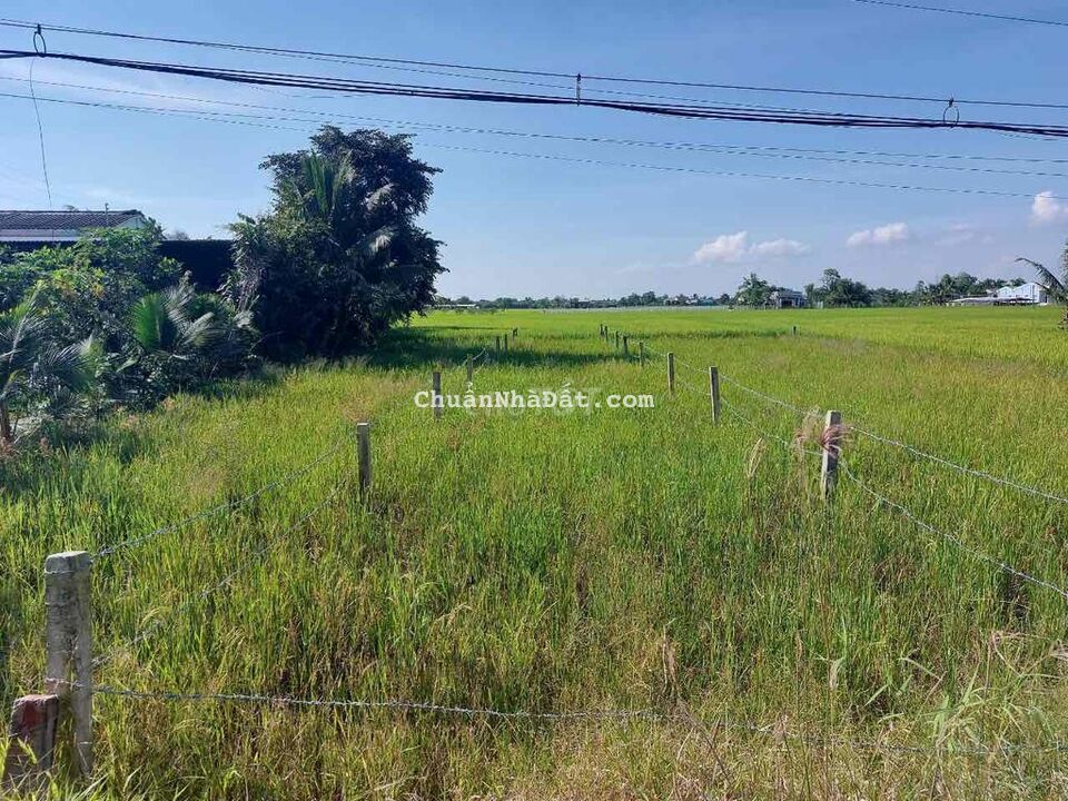200mv thổ cư mặt tiền nhựa 9m. Chủ ngộp lắm rồi