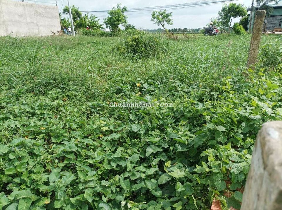 Bán lô đất lổ nền sẵn mặt tiền Đường Tỉnh 833B