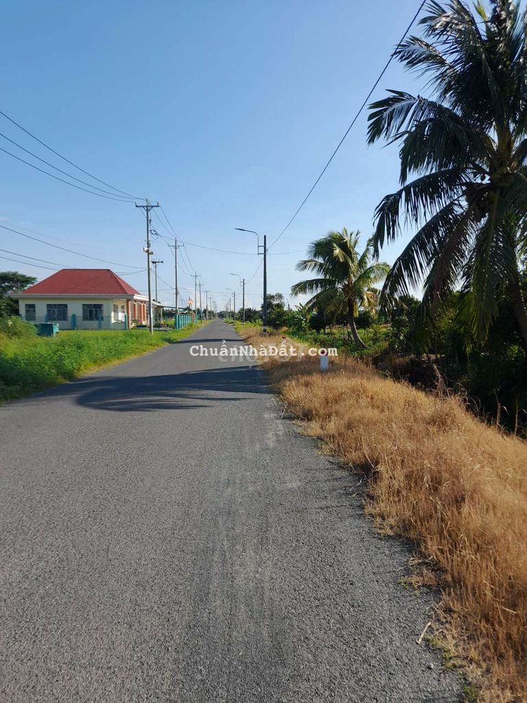 Chỉ 1.5 tỷ sở hữu 250m2 đất MT kinh doanh đường xe cont Tân trụ, Chỉ 1.5 tỷ sở hữu 250m2 đất MT kinh doanh đường xe cont Tân trụ,