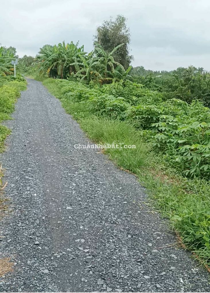 Ngang 34 x 72m đường ôtô Ngang 34 x 72m đường ôtô