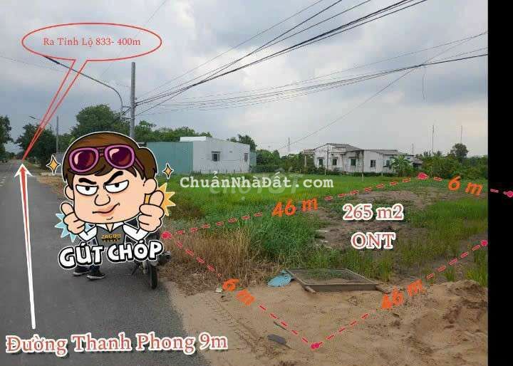 265m2 đất thổ 6x 46m mặt tiền đường nhựa 10m, Tân Trụ 1.19 tỷ 265m2 đất thổ 6x 46m mặt tiền đường nhựa 10m, Tân Trụ 1.19 tỷ