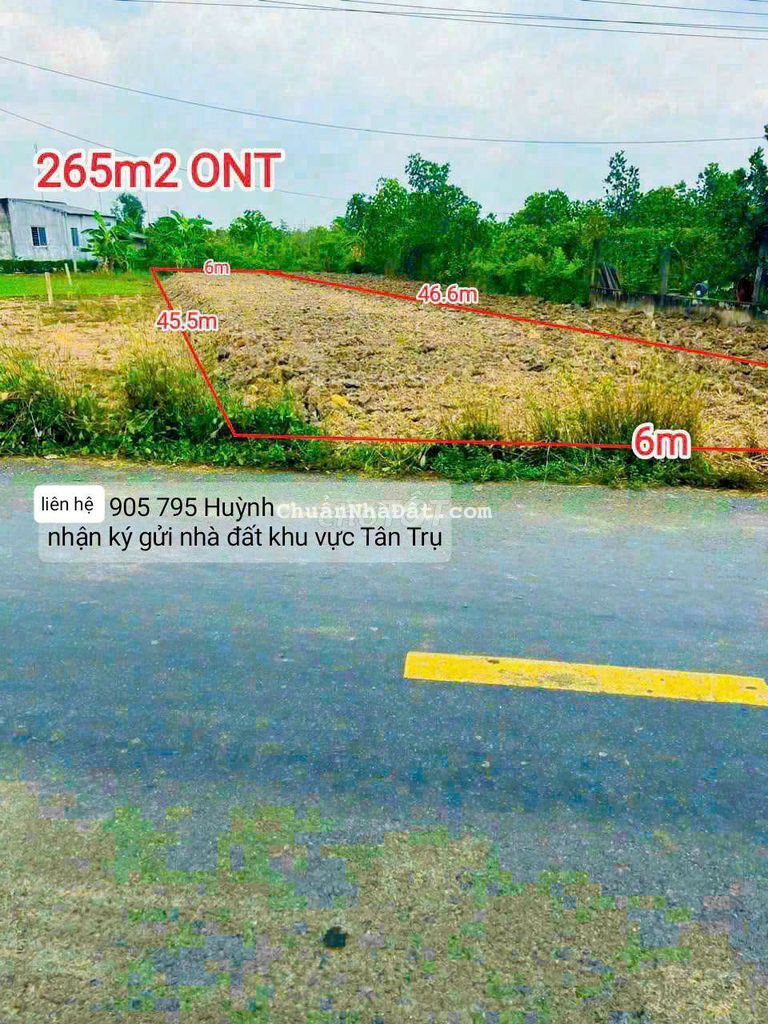 Kèo thơm sổ sẵn 6x46m mặt tiền nhựa cách Ngã Tư Lạc Tấn 4 phút Kèo thơm sổ sẵn 6x46m mặt tiền nhựa cách Ngã Tư Lạc Tấn 4 phút