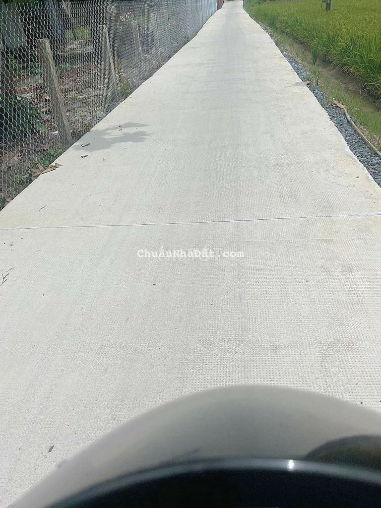 bán nhanh 300m thổ mt trương văn chuẩn bình tịnh tân trụ bán nhanh 300m thổ mt trương văn chuẩn bình tịnh tân trụ