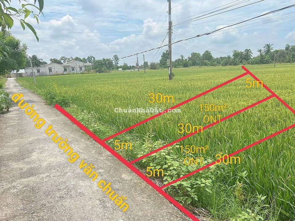 bán nhanh 300m thổ mt trương văn chuẩn bình tịnh tân trụ bán nhanh 300m thổ mt trương văn chuẩn bình tịnh tân trụ