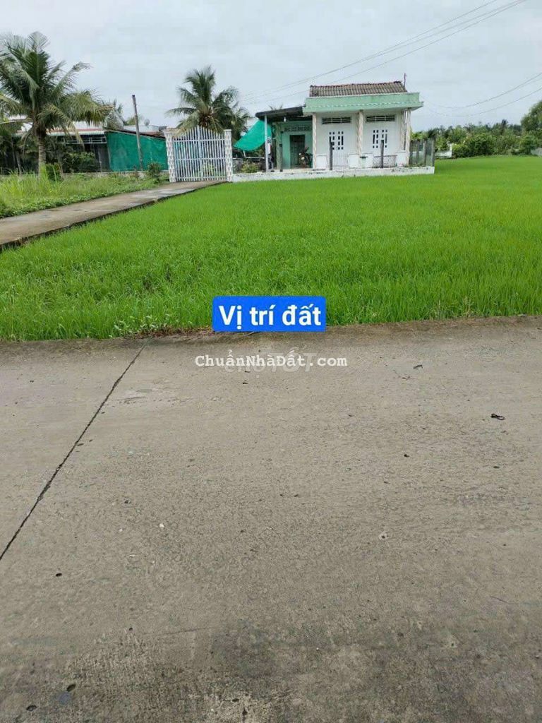 bán nhanh 319m thổ mt nguyễn văn thanh bình trinh đông tân trụ bán nhanh 319m thổ mt nguyễn văn thanh bình trinh đông tân trụ