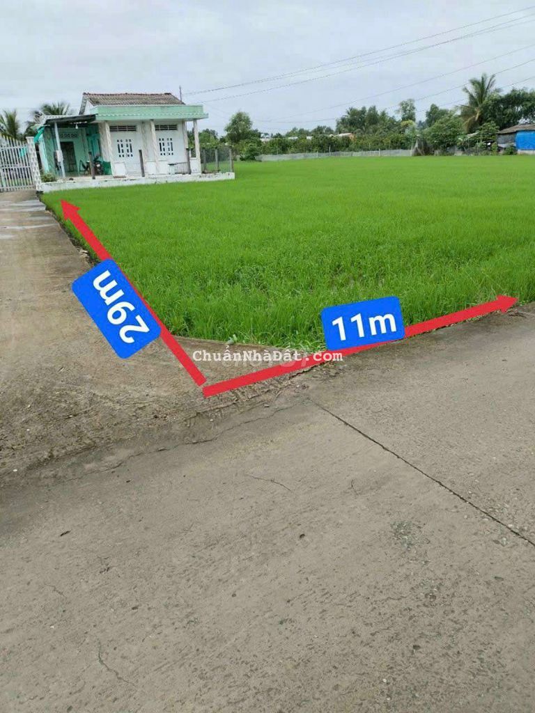 bán nhanh 319m thổ mt nguyễn văn thanh bình trinh đông tân trụ bán nhanh 319m thổ mt nguyễn văn thanh bình trinh đông tân trụ