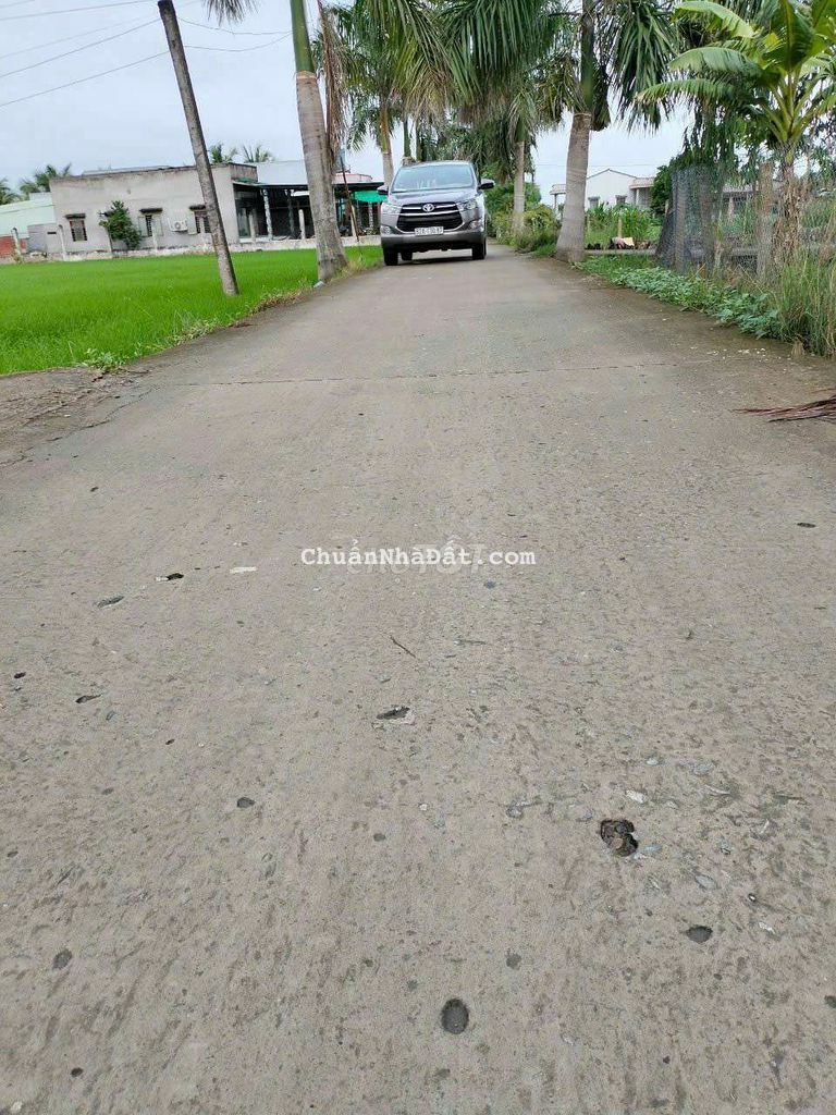 bán nhanh 319m thổ mt nguyễn văn thanh bình trinh đông tân trụ bán nhanh 319m thổ mt nguyễn văn thanh bình trinh đông tân trụ