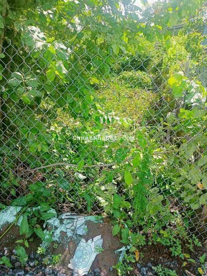 320m2 Đất vườn có 80m2 thổ cư, Làm nhà vườn mini quá đẹp 320m2 Đất vườn có 80m2 thổ cư, Làm nhà vườn mini quá đẹp