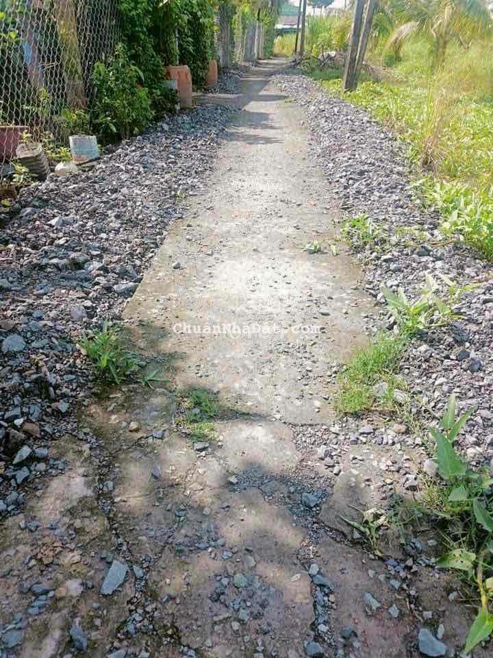 320m2 Đất vườn có 80m2 thổ cư, Làm nhà vườn mini quá đẹp 320m2 Đất vườn có 80m2 thổ cư, Làm nhà vườn mini quá đẹp