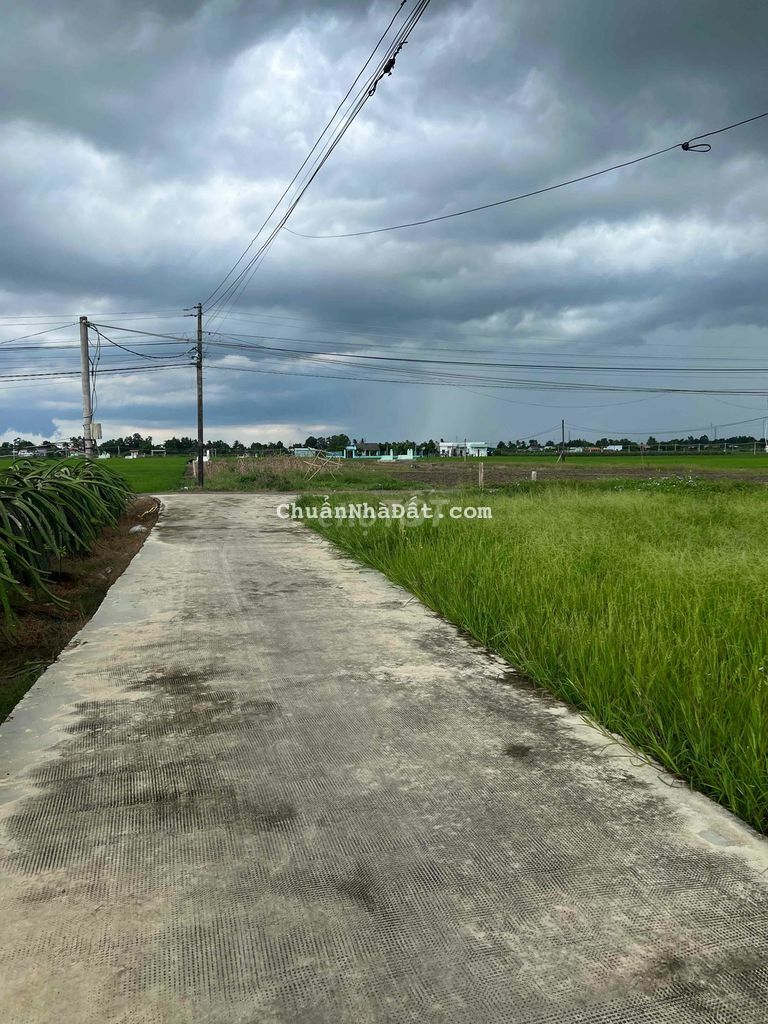 Ngang 10, dài 33m. Đất thổ sổ sẵn, chủ bao tách đôi