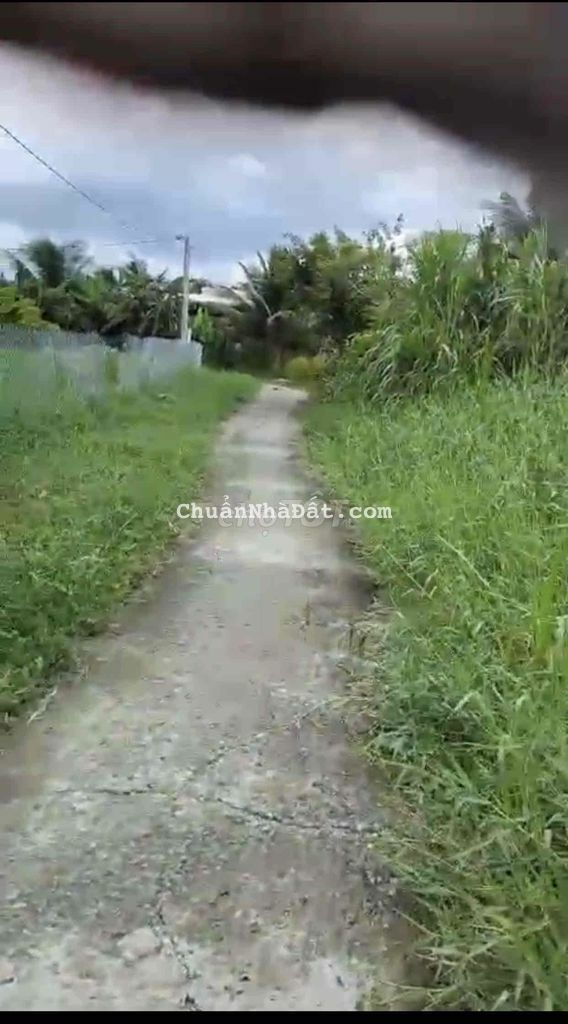 ❤️3337,7M ĐẤT CLN XÃ BÌNH TRINH ĐÔNG, TÂN TRỤ, LONG AN CHỈ 1,5 TỶ ❤️3337,7M ĐẤT CLN XÃ BÌNH TRINH ĐÔNG, TÂN TRỤ, LONG AN CHỈ 1,5 TỶ