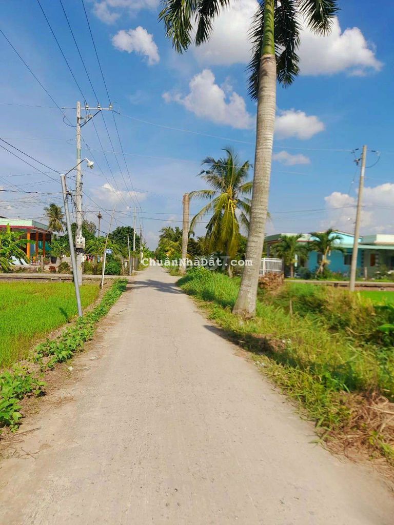 510 m2 đất vườn view kênh kdc Bình Trinh, 479 triệu 510 m2 đất vườn view kênh kdc Bình Trinh, 479 triệu