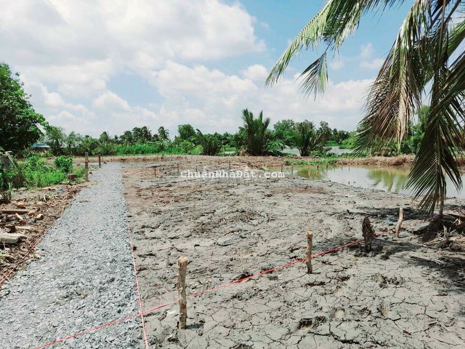 510 m2 đất vườn view kênh kdc Bình Trinh, 479 triệu 510 m2 đất vườn view kênh kdc Bình Trinh, 479 triệu