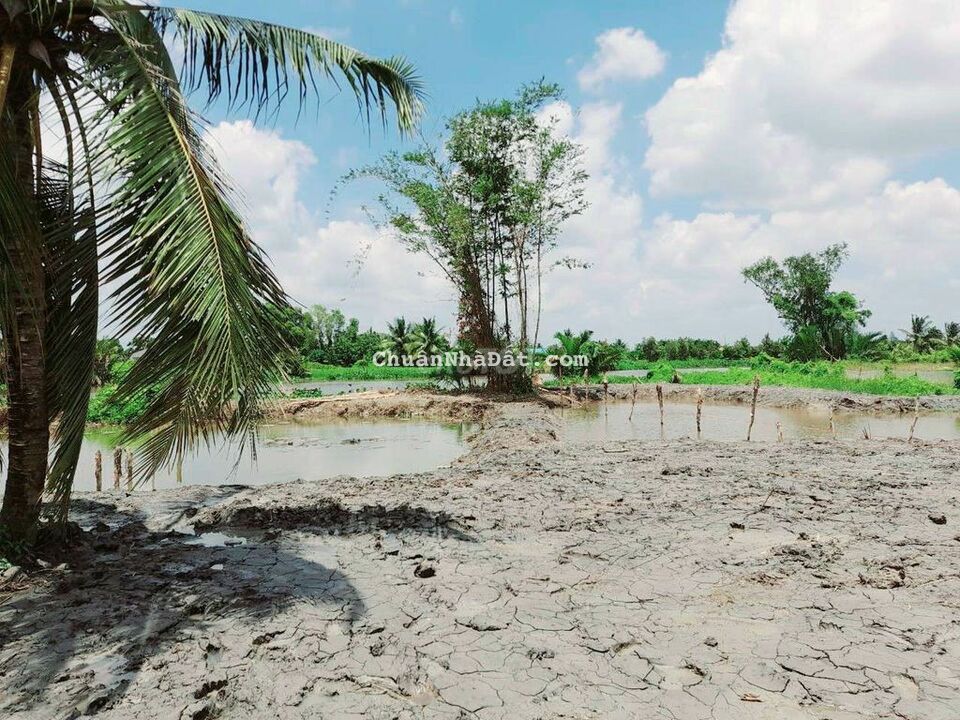 510 m2 đất vườn view kênh kdc Bình Trinh, 479 triệu 510 m2 đất vườn view kênh kdc Bình Trinh, 479 triệu