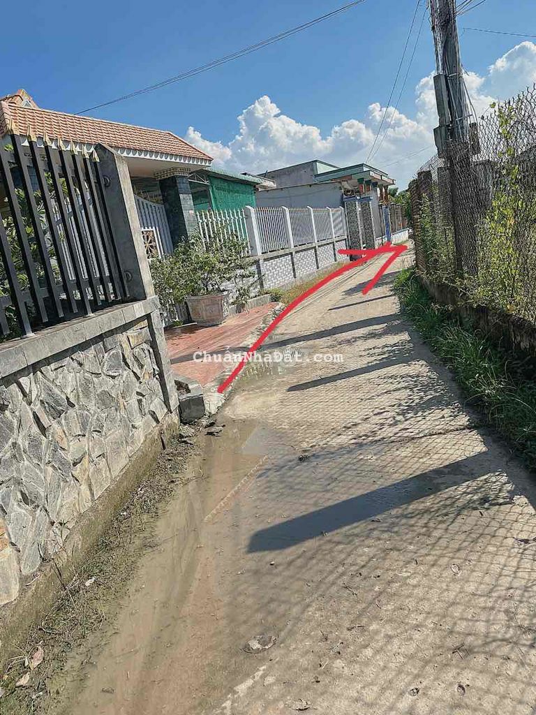 520mv vườn sau trường học. Tặng lại cây ăn trái trên đất