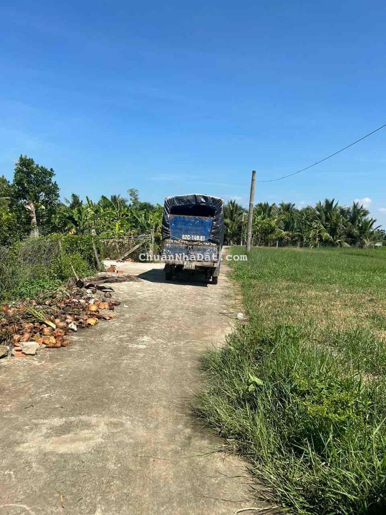 520mv vườn sau trường học. Tặng lại cây ăn trái trên đất