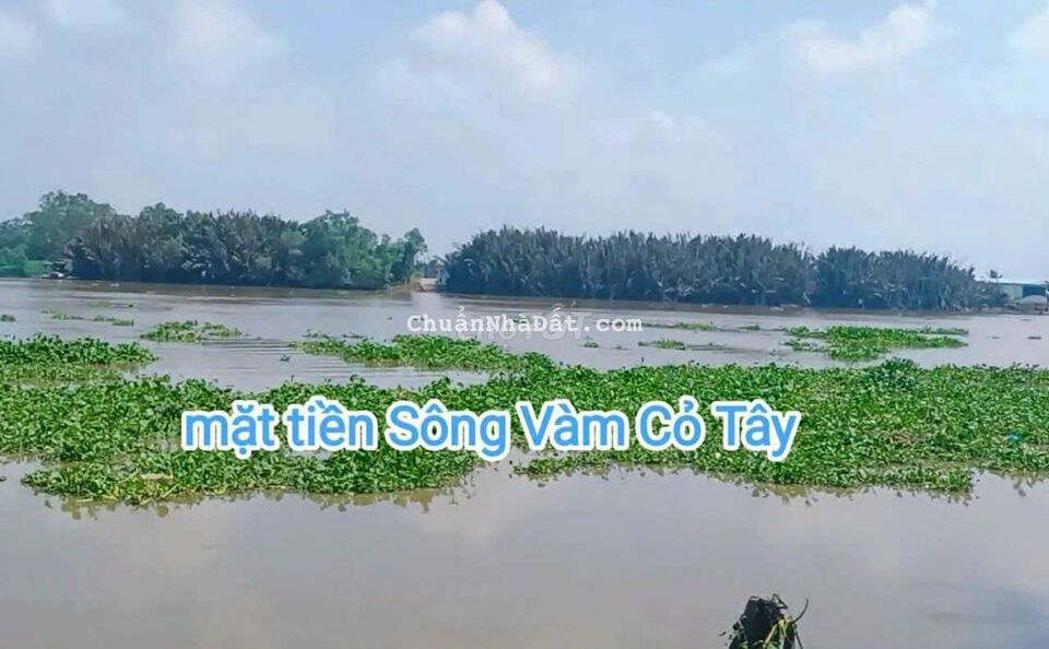 5.500m2 đất mặt tiền Sông Vàm Cỏ Tây 70 x 80m 5.500m2 đất mặt tiền Sông Vàm Cỏ Tây 70 x 80m