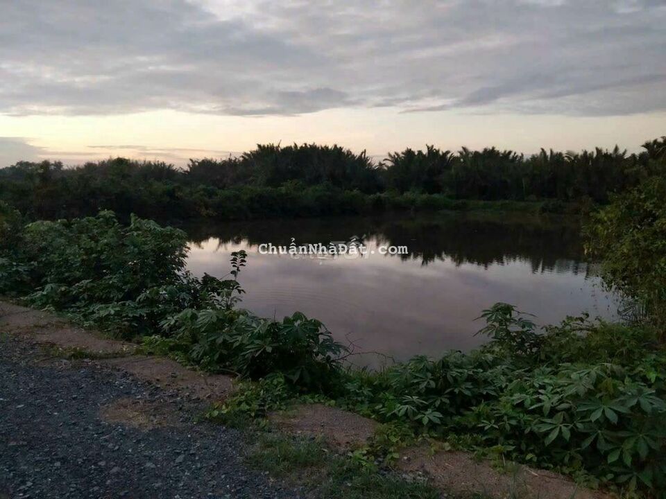 5.500m2 đất mặt tiền Sông Vàm Cỏ Tây 70 x 80m 5.500m2 đất mặt tiền Sông Vàm Cỏ Tây 70 x 80m