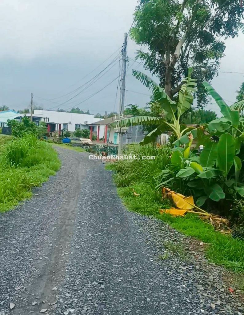 5.500m2 mặt tiền Sông Vàm Cỏ Tây (70x80m) 5.500m2 mặt tiền Sông Vàm Cỏ Tây (70x80m)