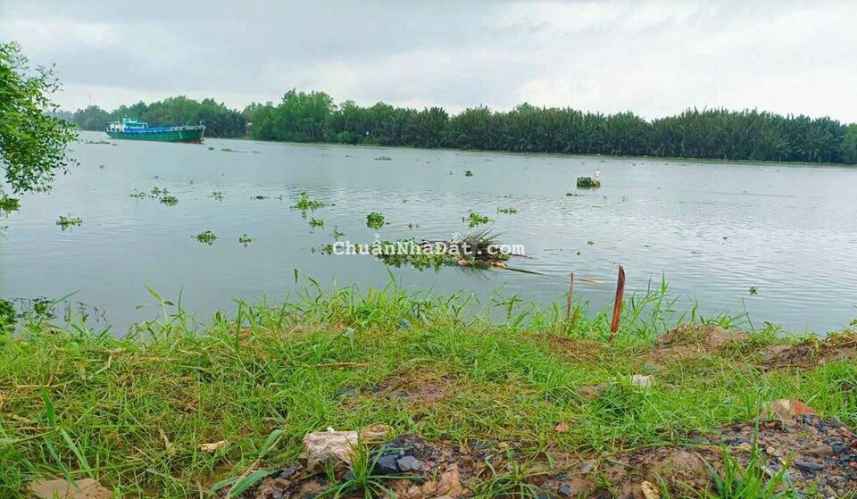 5.500m2 mặt tiền Sông Vàm Cỏ Tây (70x80m) 5.500m2 mặt tiền Sông Vàm Cỏ Tây (70x80m)