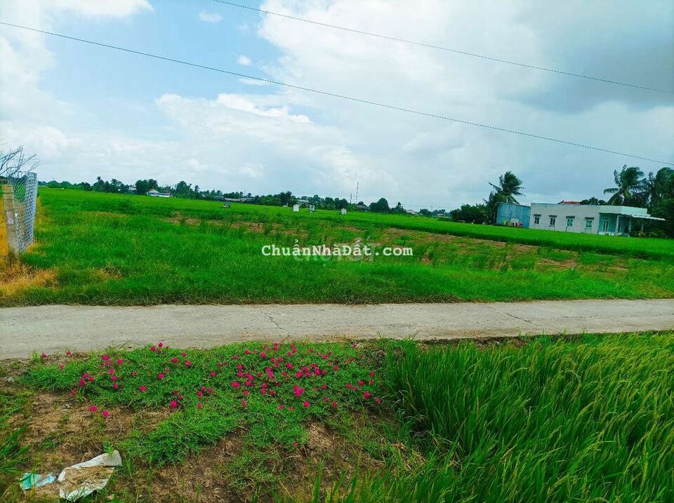 Ngang 20x35m (750m2 thổ cư đã san lấp) Ngang 20x35m (750m2 thổ cư đã san lấp)