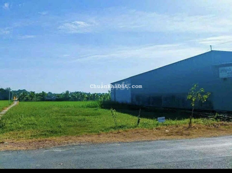 mặt tiền 832 diện tích 900m2 có 620 thổ giá 5tỷ8 tân phước tây mặt tiền 832 diện tích 900m2 có 620 thổ giá 5tỷ8 tân phước tây