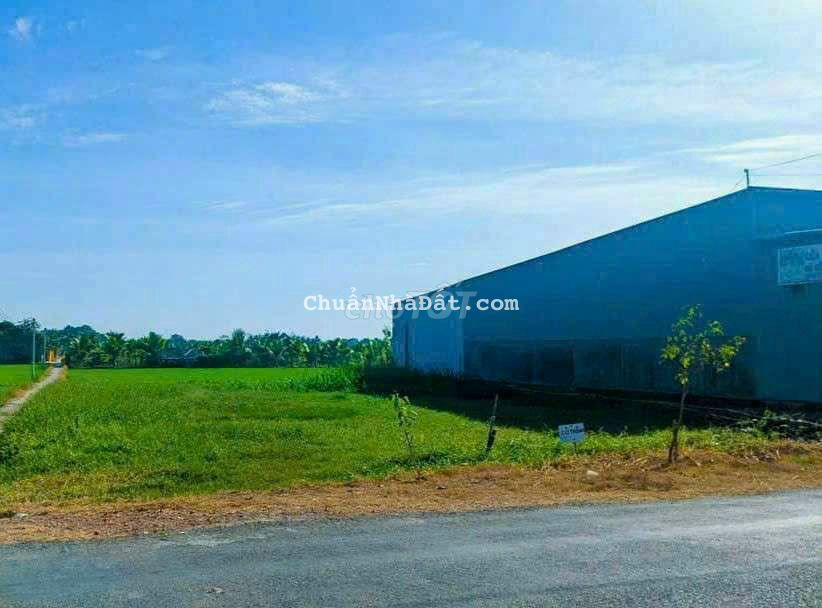 20 x 45m đất thổ có nền gần Ngã Tư Tân Phước Tây 20 x 45m đất thổ có nền gần Ngã Tư Tân Phước Tây