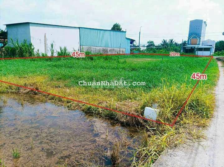 20 x 45m đất thổ có nền gần Ngã Tư Tân Phước Tây 20 x 45m đất thổ có nền gần Ngã Tư Tân Phước Tây