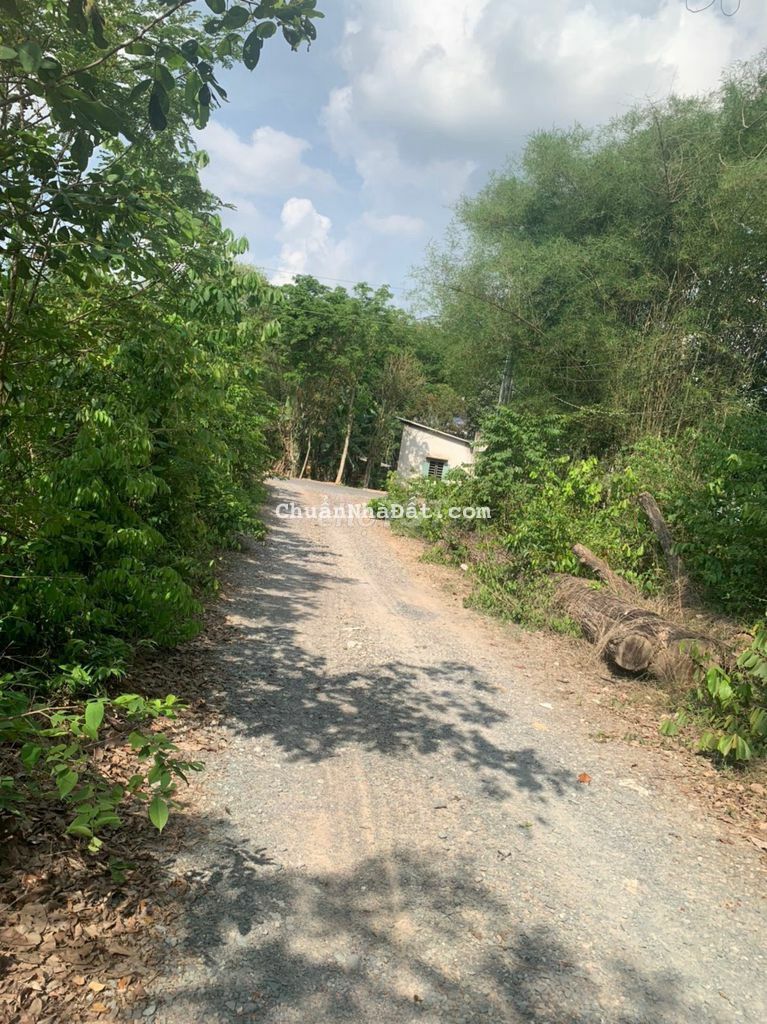 Cần bán gấp lô đất 116m2 ngay Tân Hiệp- Tân Uyên Cần bán gấp lô đất 116m2 ngay Tân Hiệp- Tân Uyên