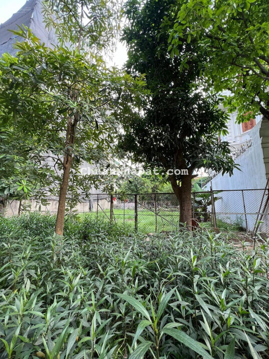 Đất vàng khu biệt thự Vườn Đào, Lạc Long Quân, Tây Hồ, khu vip đẳng cấp xa hoa, 398m2/145tỷ