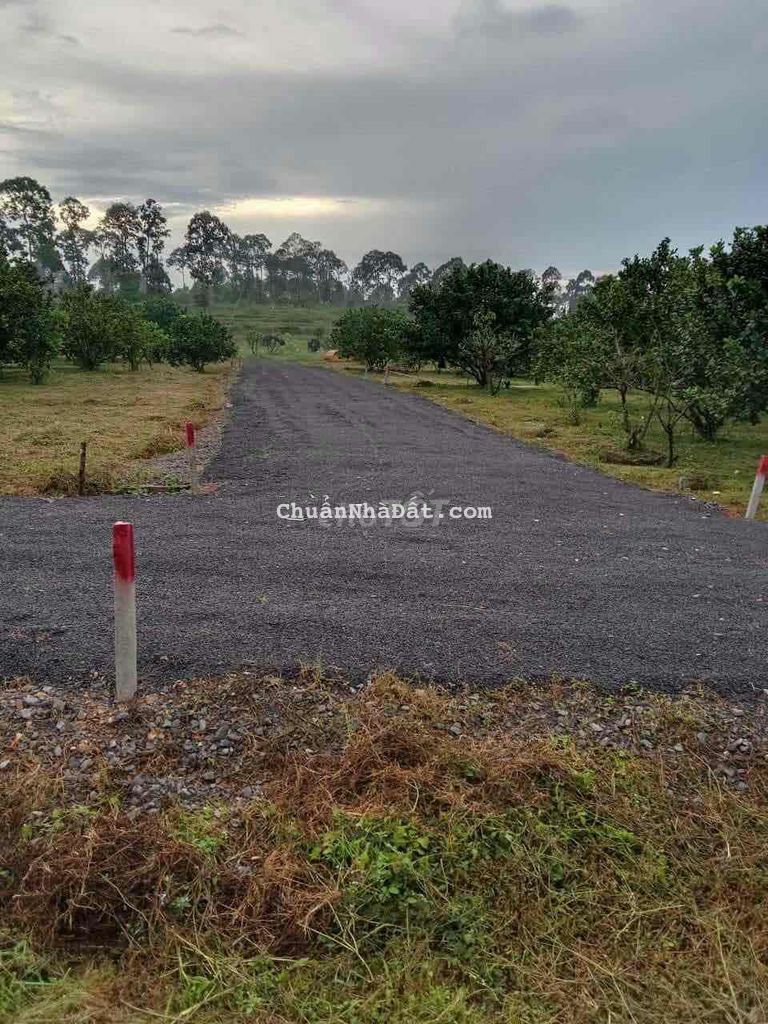 Vườn bưởi nghỉ dưỡng cực chill 1000m2 cắt lỗ ngay 500tr