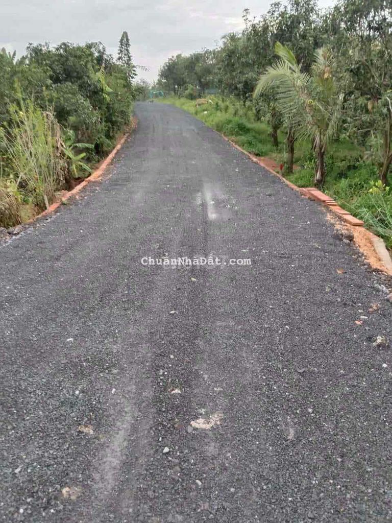 Vườn bưởi nghỉ dưỡng cực chill 1000m2 cắt lỗ ngay 500tr