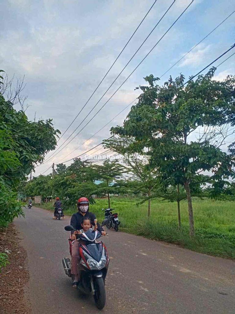 Đất sổ riêng thổ cư 100m2 Đường Tân An xã Vĩnh Tân Vĩnh Cửu Đất sổ riêng thổ cư 100m2 Đường Tân An xã Vĩnh Tân Vĩnh Cửu